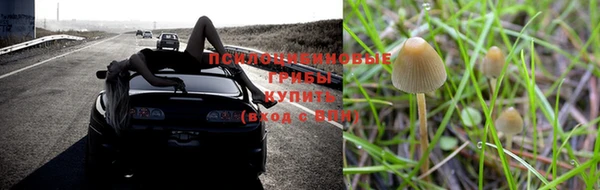 ALPHA PVP Горно-Алтайск