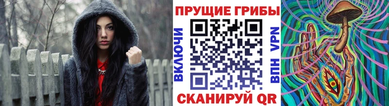 Псилоцибиновые грибы GOLDEN TEACHER  Елец 